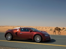  Bugatti Veyron    